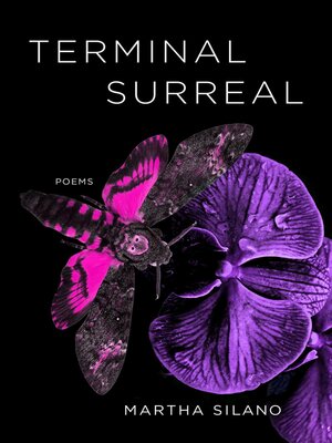 cover image of Terminal Surreal
